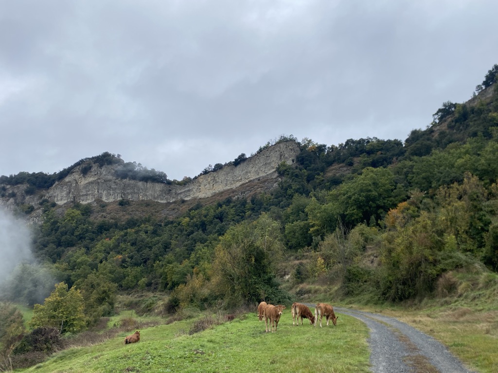 Photo №5 of Turó Gran de Bufadors