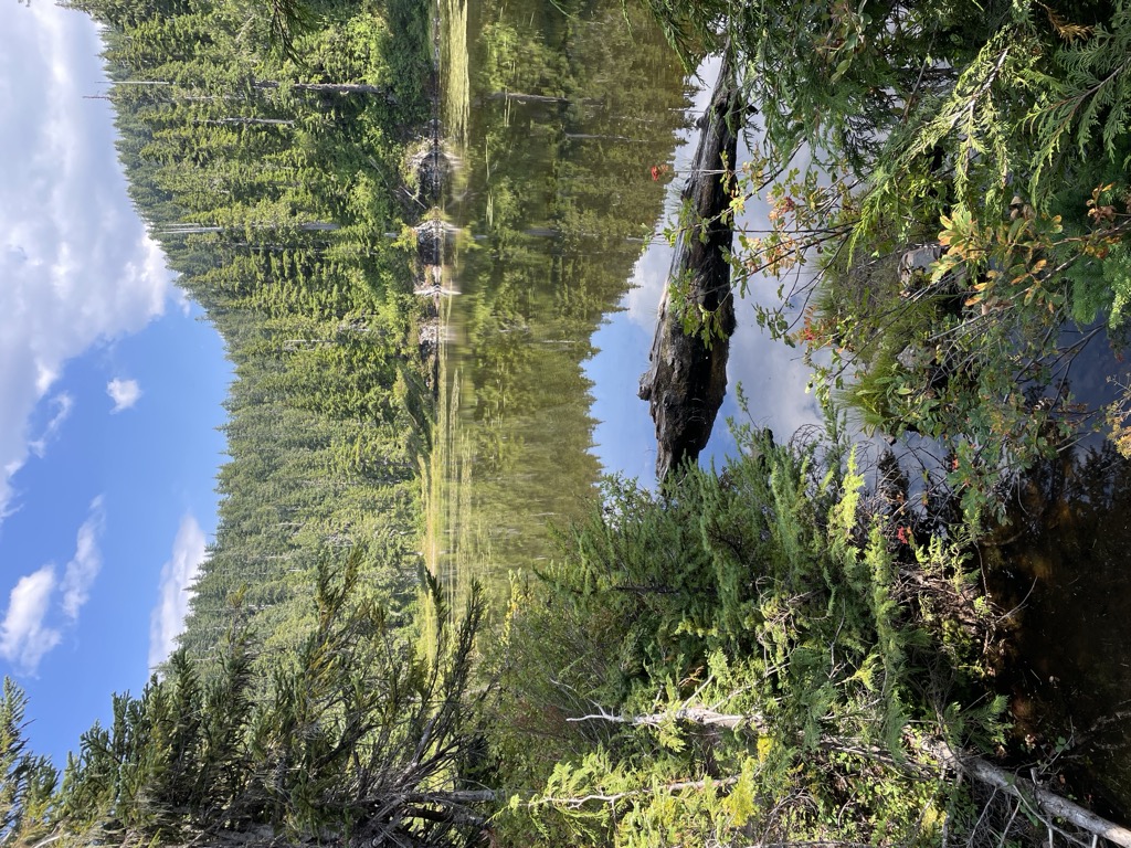 Twin Lake