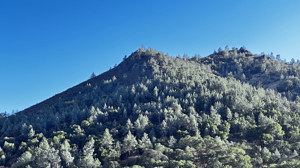 Twin Peaks