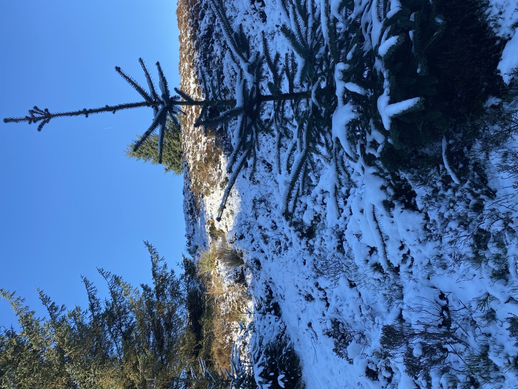 Photo №3 of Ullister Hill