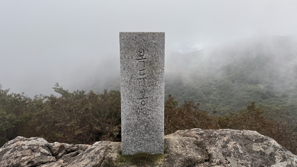 Photo №1 of Unjangsan Bokdubong