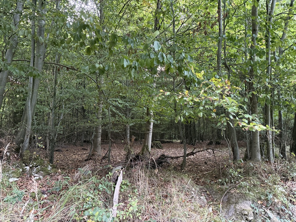 Photo №2 of Unterer Langenberg