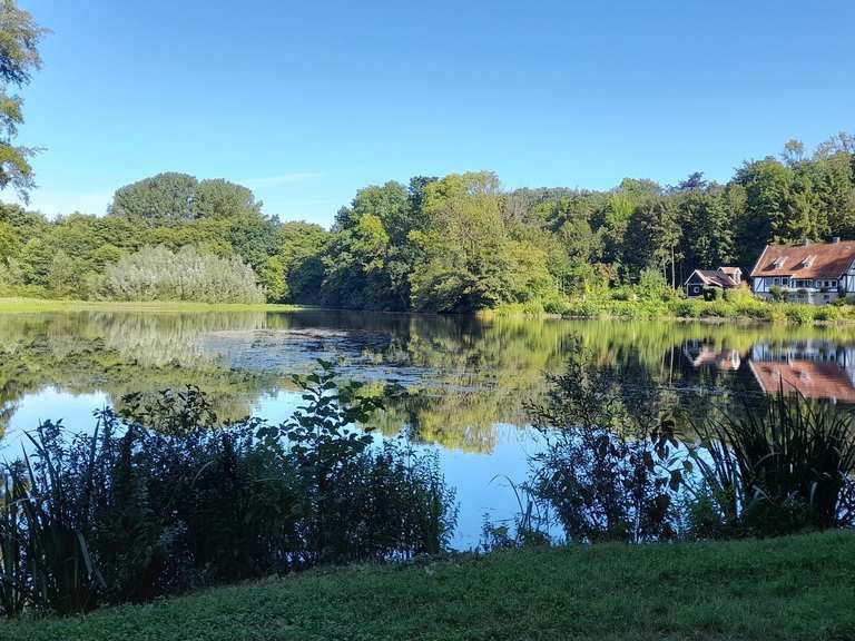 Photo №2 of Unterer Teich