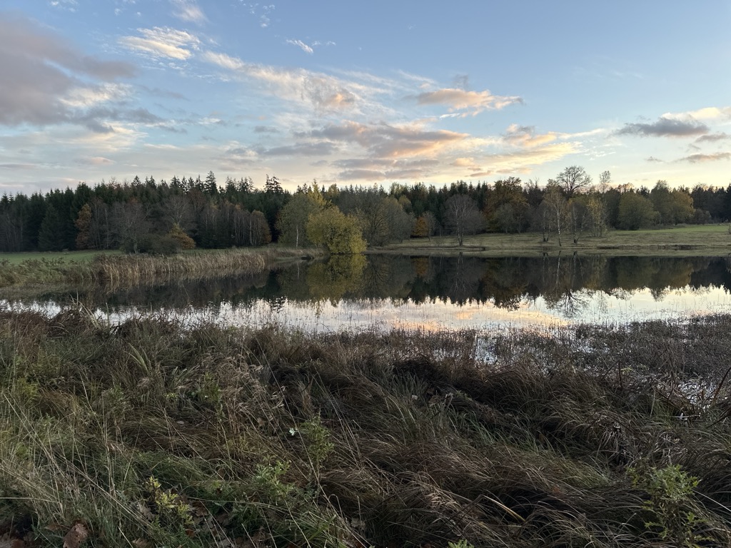 Photo №2 of Unterer Weiher