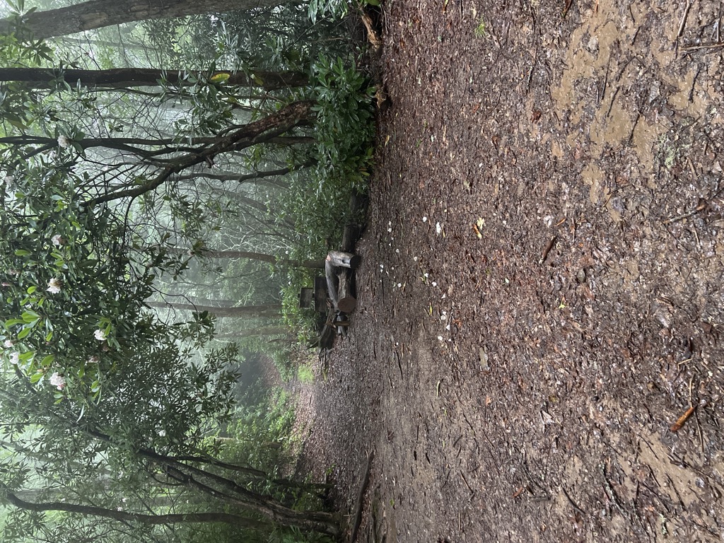 Photo №2 of Upper Sassafras Gap