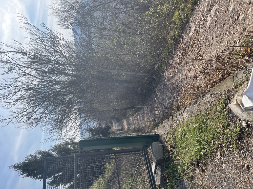 Photo №2 of Valico San Giovanni delle Formiche