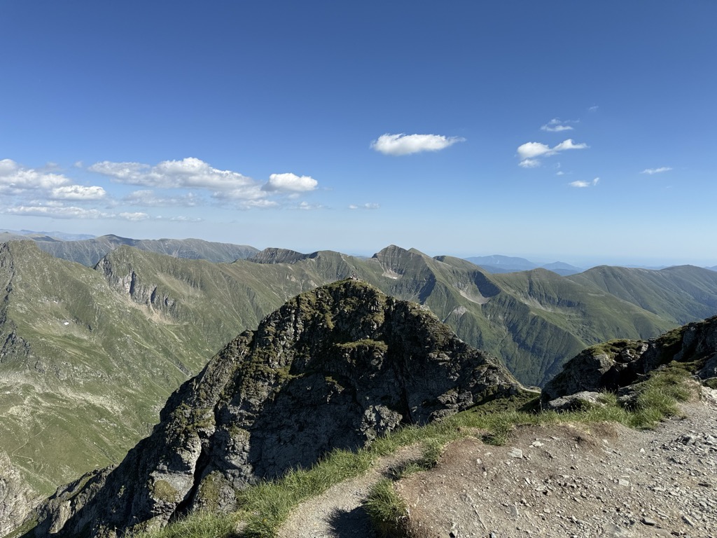 Photo №2 of Vânătarea lui Buteanu