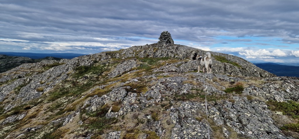 Photo №2 of Vardfjellet