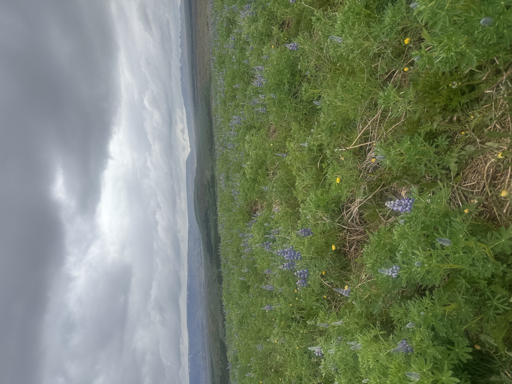 Photo №2 of Vatnshlíð