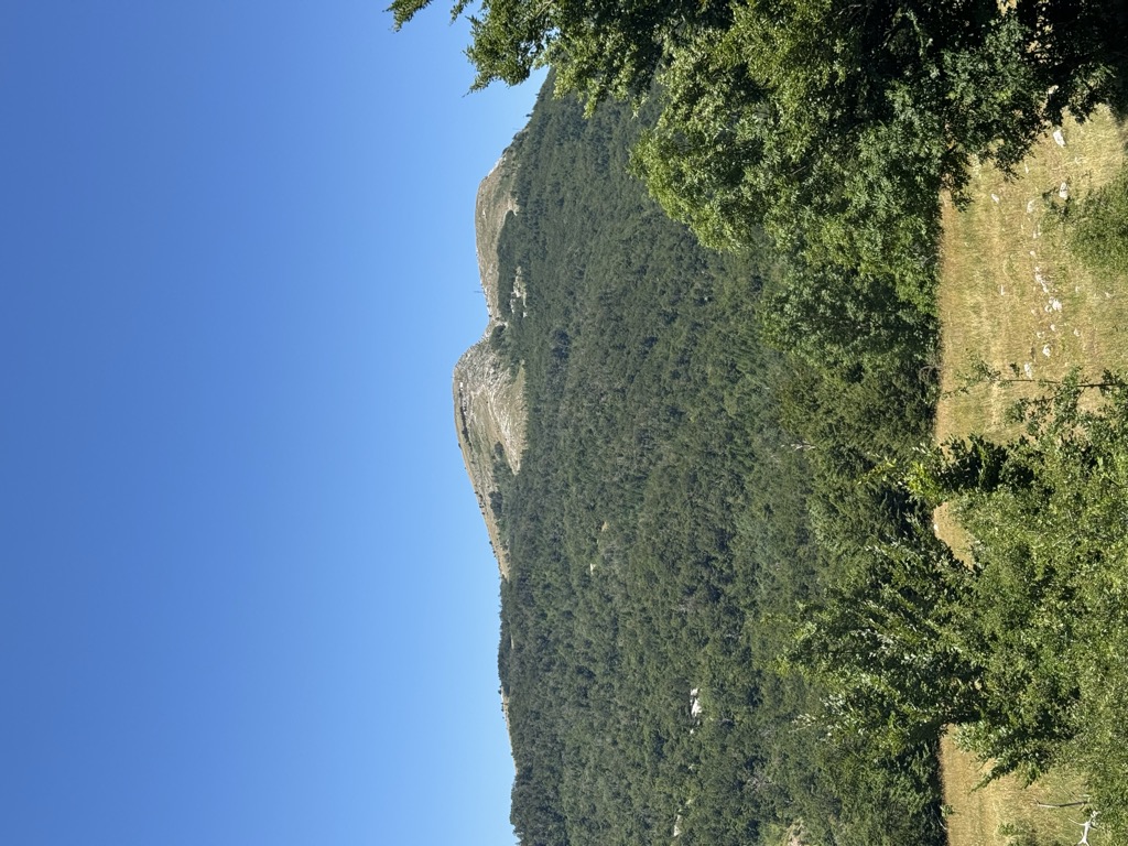 Photo №1 of Velika vidova