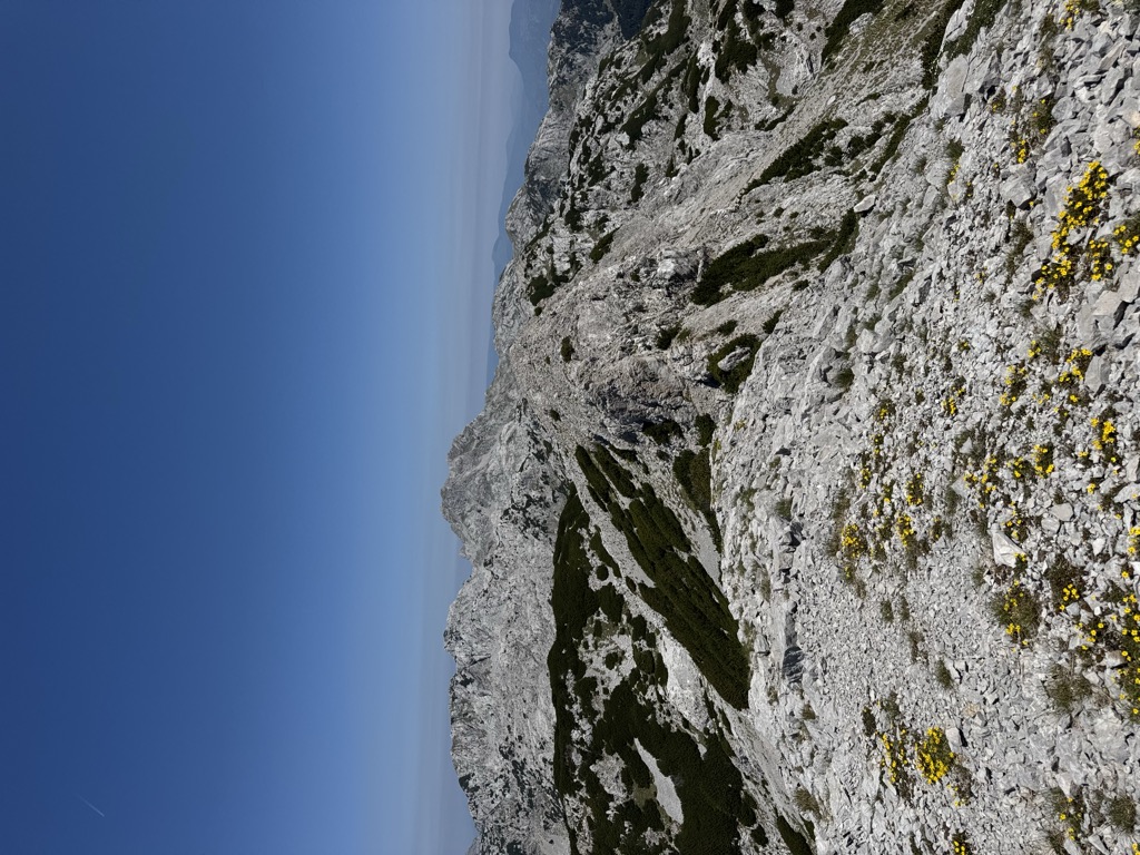 Photo №1 of Velike vršine