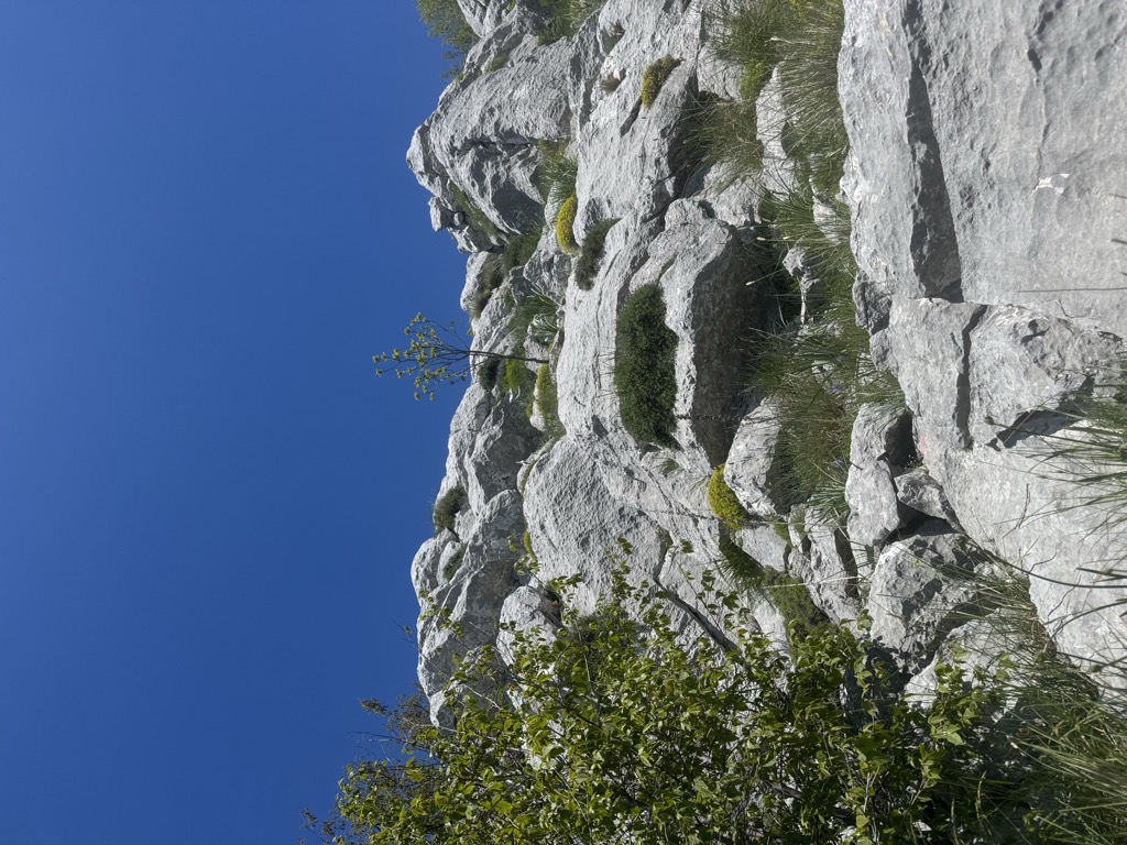 Photo №1 of Veliki Vrh