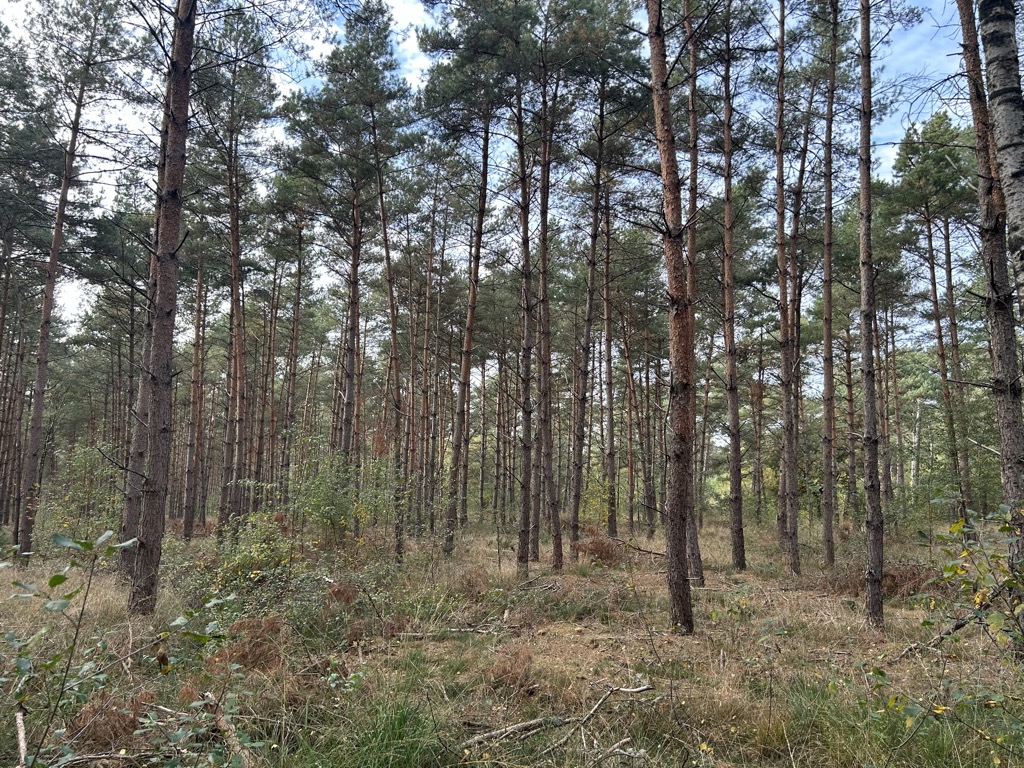 Photo №1 of Venakkerbosch