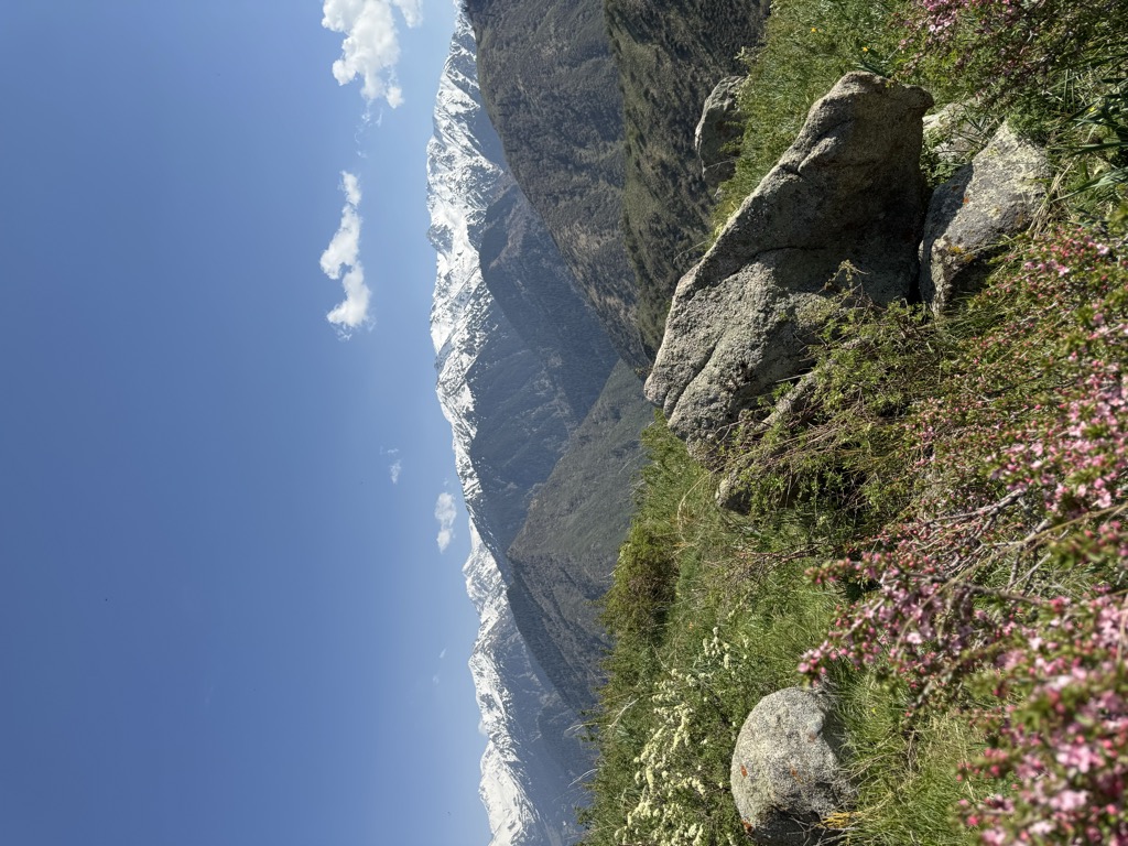 Photo №2 of Verblyud