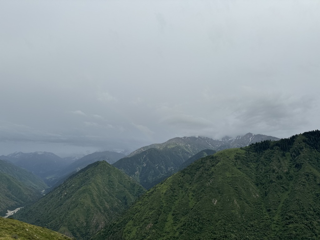 Photo №3 of Verblyud