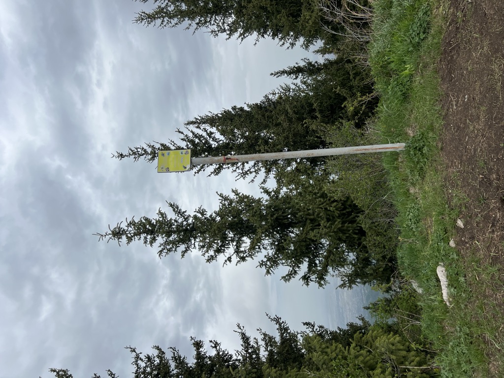 Photo №2 of Volch'ya