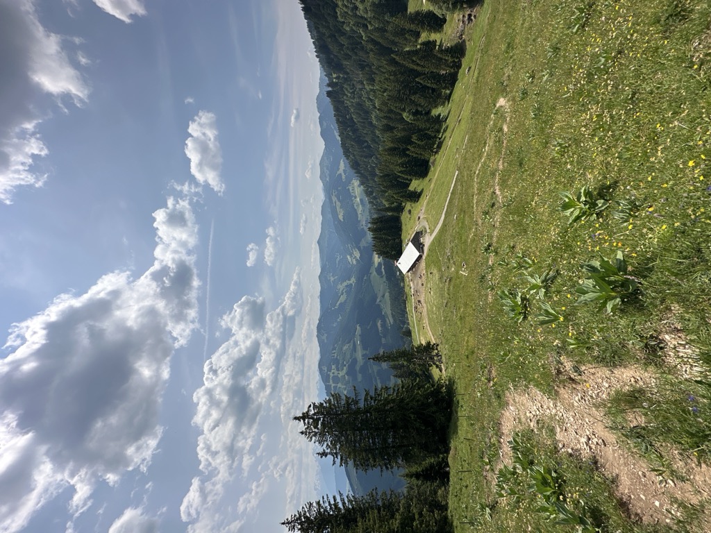 Photo №1 of Vordere Krumbach-Alpe