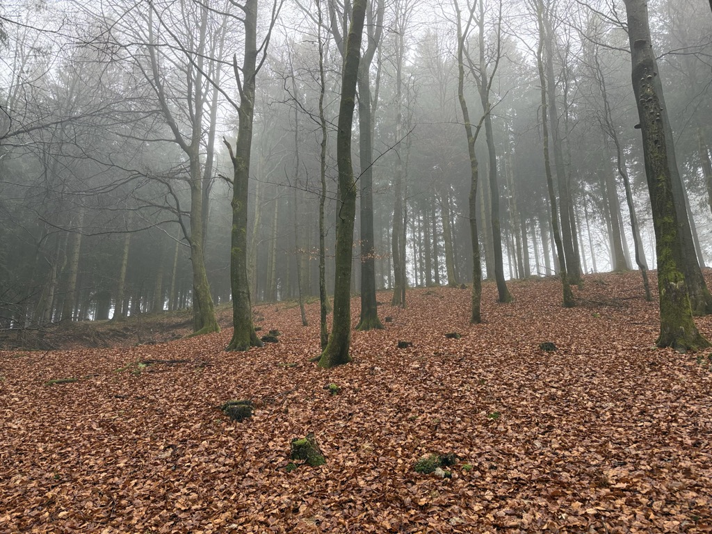 Photo №2 of Vorderer Kuhlenberg