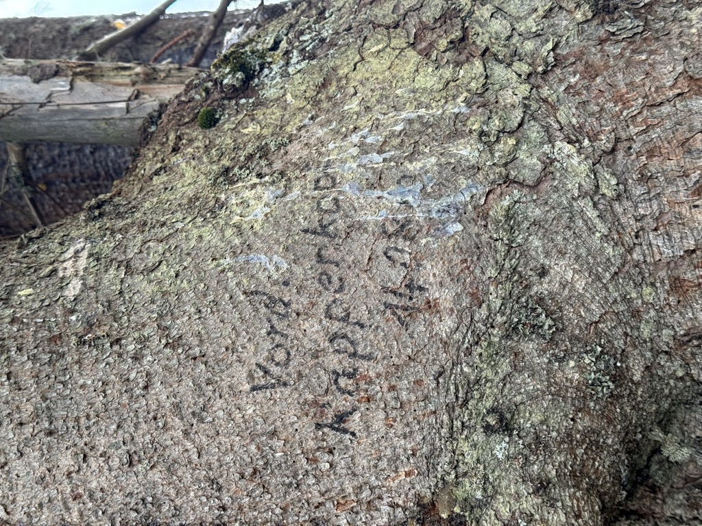 Photo №3 of Vorderer Rappenkopf