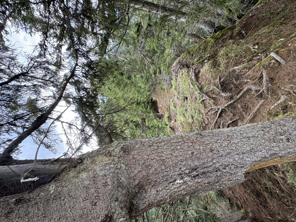 Photo №2 of Vorderer Rappenkopf