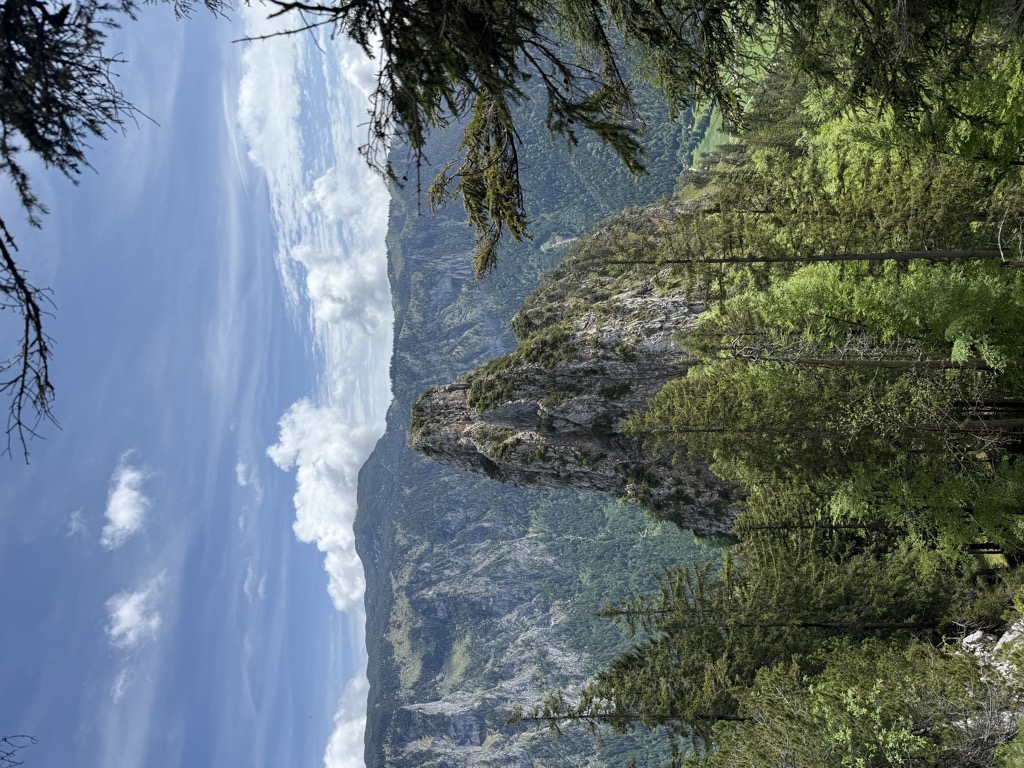 Photo №1 of Vorderer Rotofen