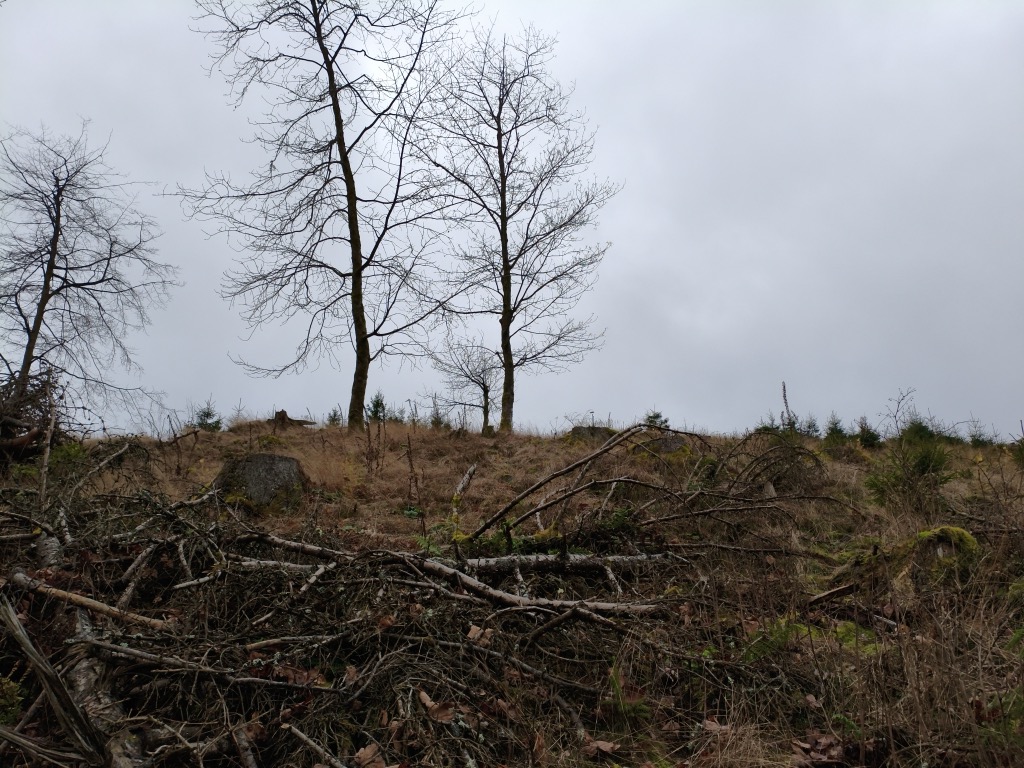 Photo №2 of Voßmeskopf