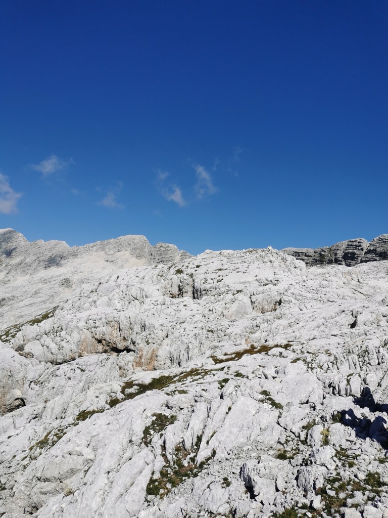 Photo №3 of Vrh Osojnic