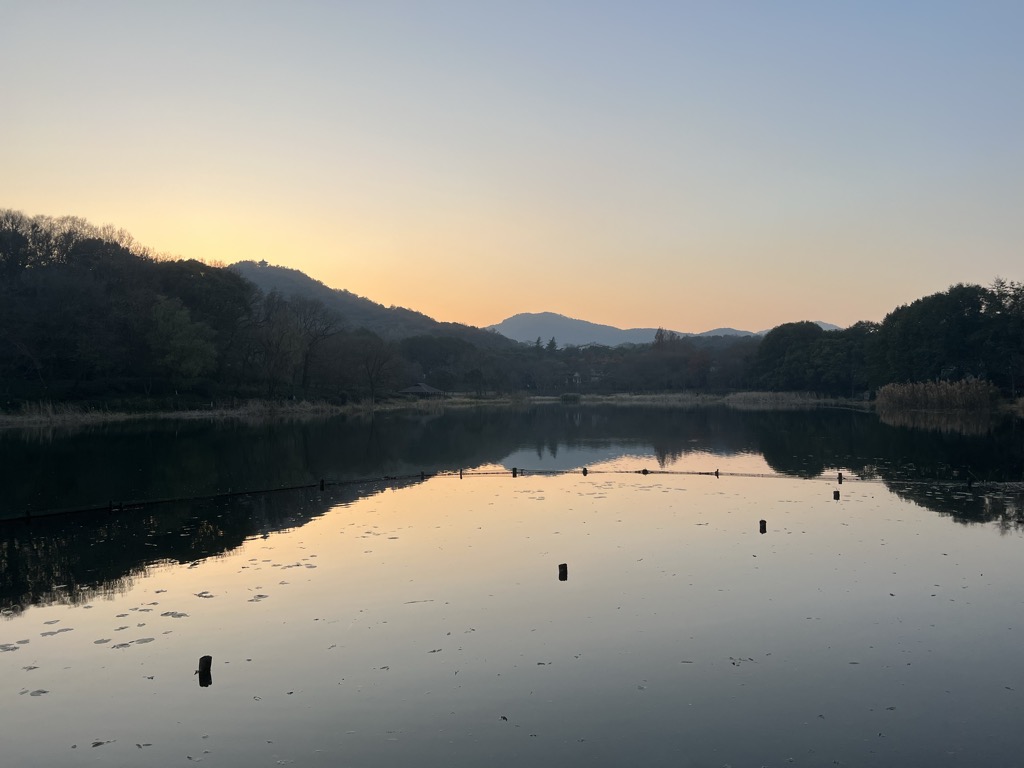 Photo №2 of Turtle lake