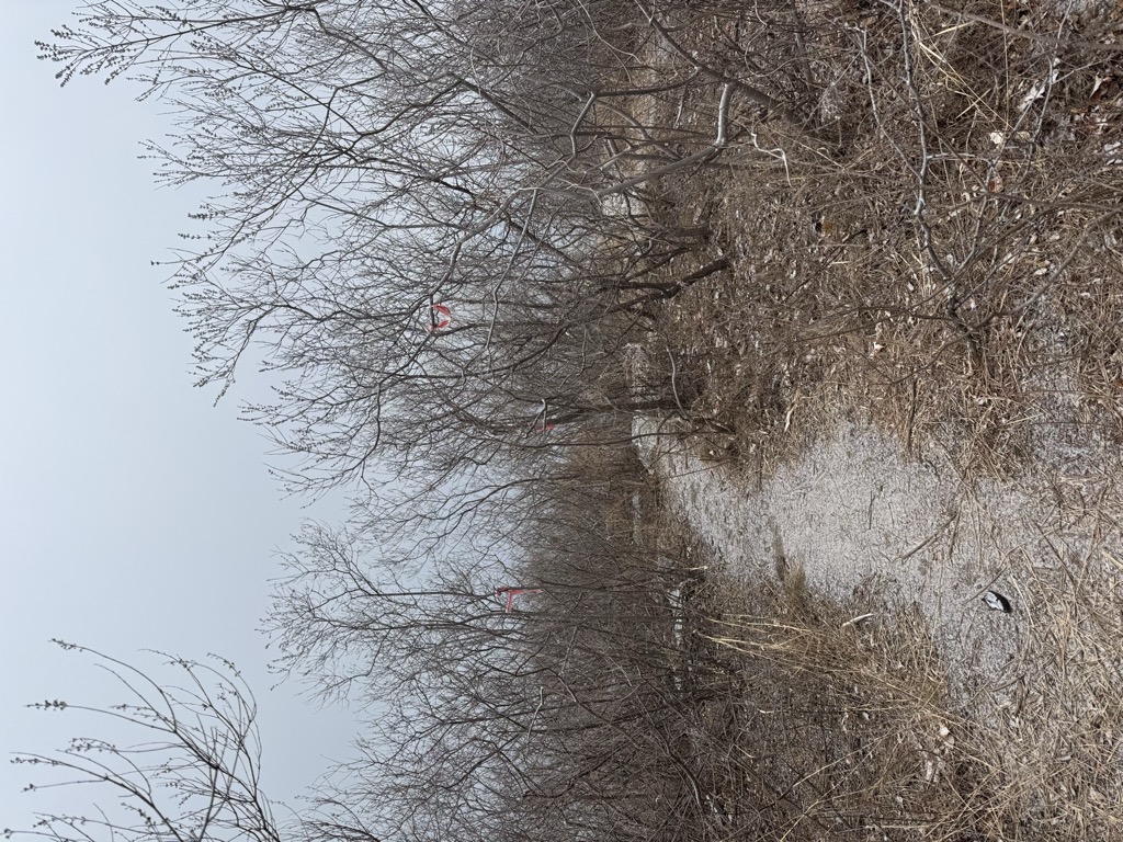 Photo №1 of Wǔtáishān （ Sì Tái ）