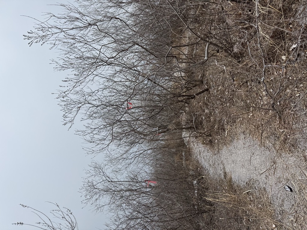 Photo №2 of Wǔtáishān （ Sì Tái ）