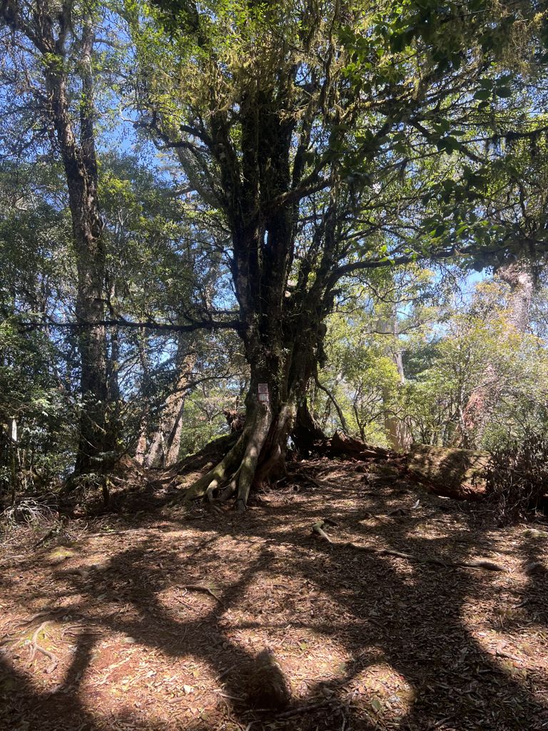 Photo №1 of Wǔ Zuǒyě Qúnshān