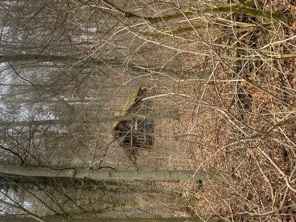 waldarbeiterhutte