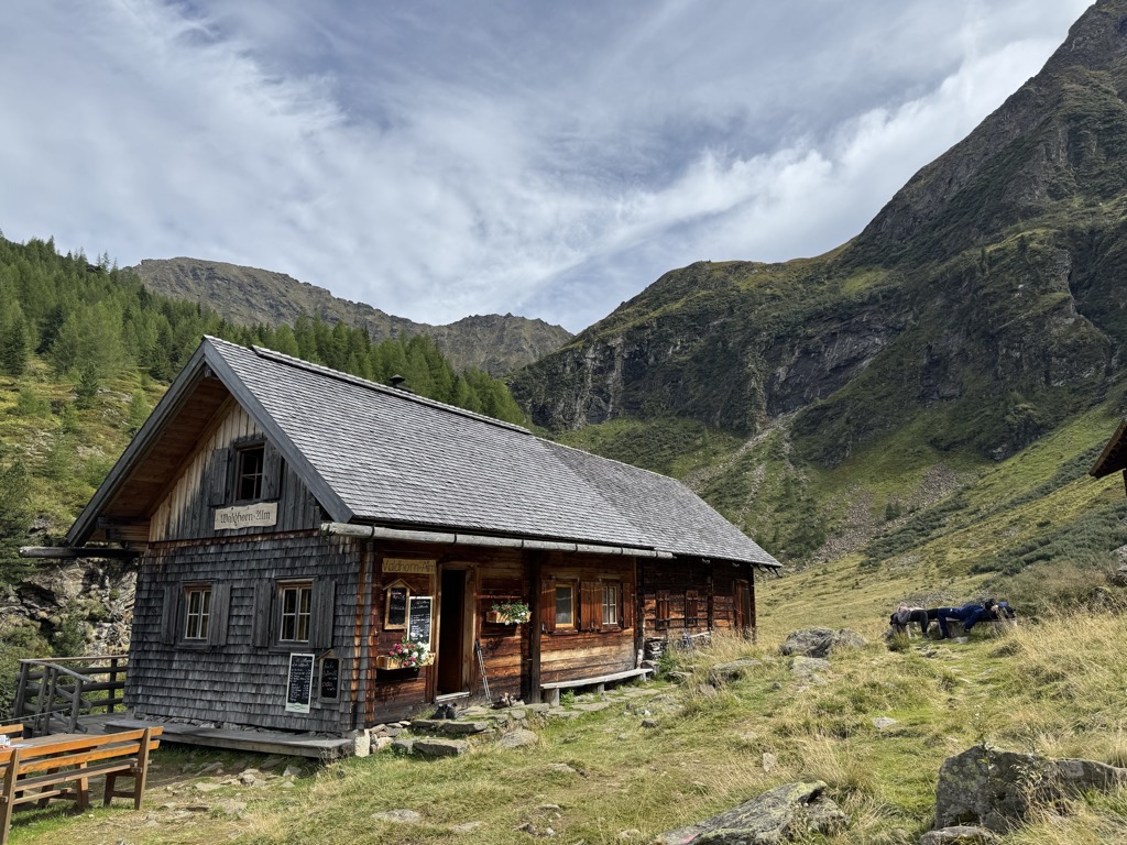 waldhornalm