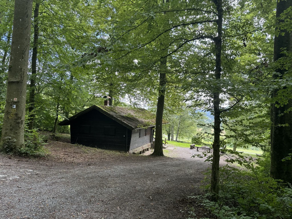waldhutte-diedesheim