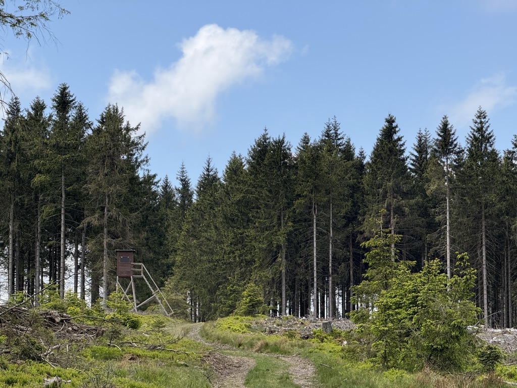 Photo №1 of Wallershöhe