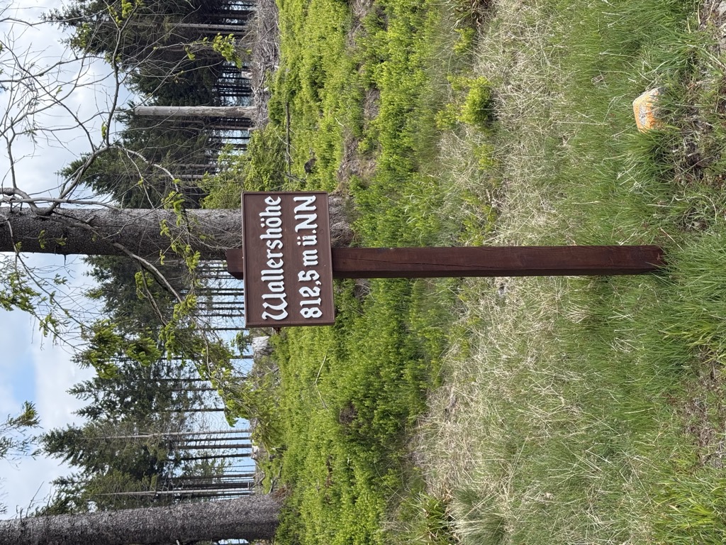 Photo №2 of Wallershöhe