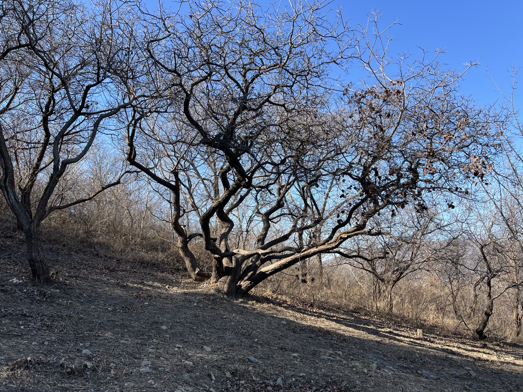 Photo №2 of Wan' An Hill