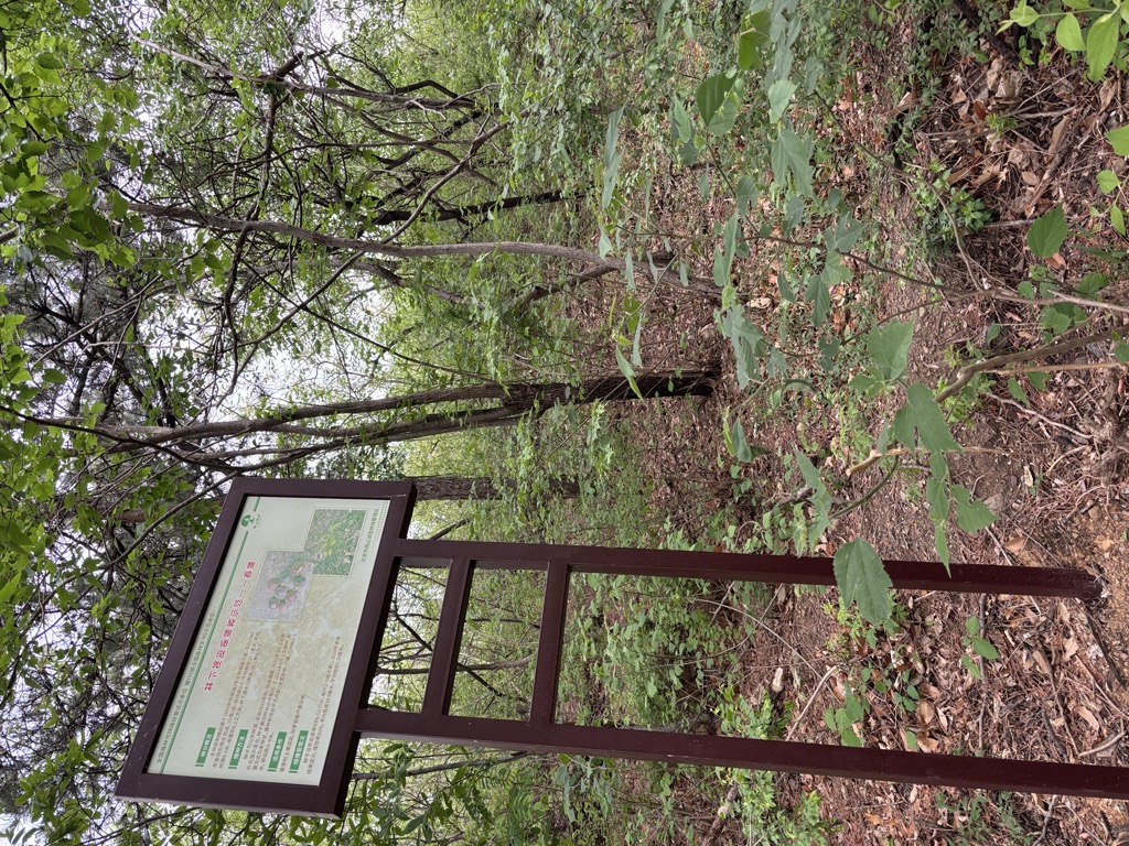 Photo №2 of Wàn Huāshān