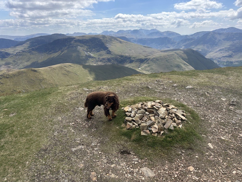 Photo №2 of Wandope