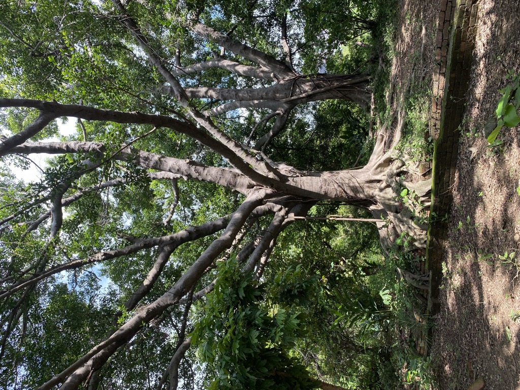 Photo №2 of Wàng Yúnshān