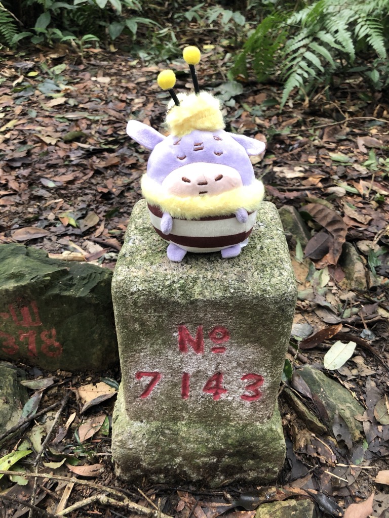 Photo №3 of Wangzishan