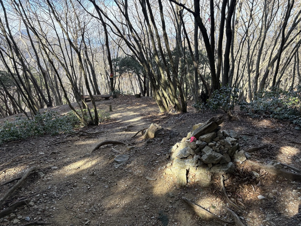 Photo №1 of Warabi San