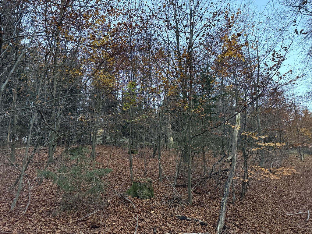 Photo №2 of Warmsberg