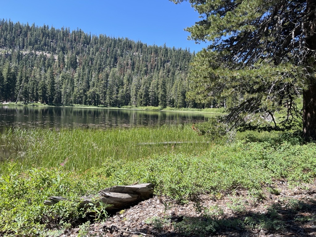 Photo №2 of Watson Lake
