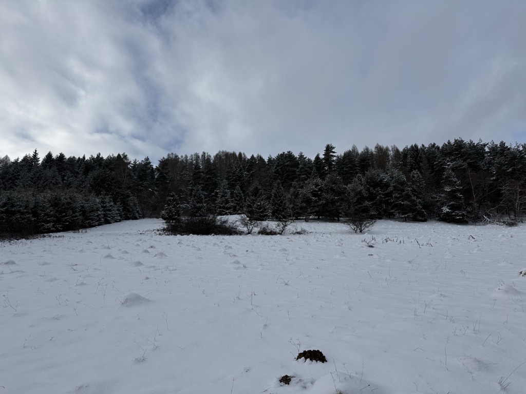Photo №2 of Wdżar