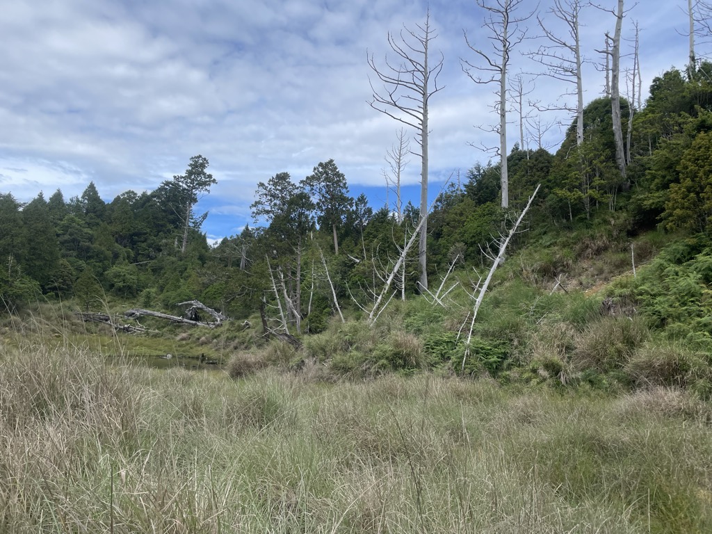 Photo №2 of Wei Dan (Great Egg) Pond