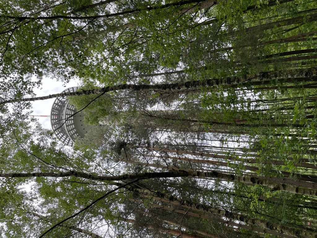 Photo №2 of Weilerskopf