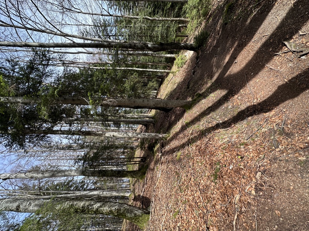 Photo №2 of Weißenseeberg
