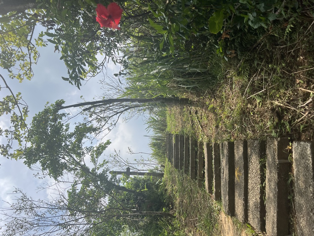Photo №6 of Wenbishan