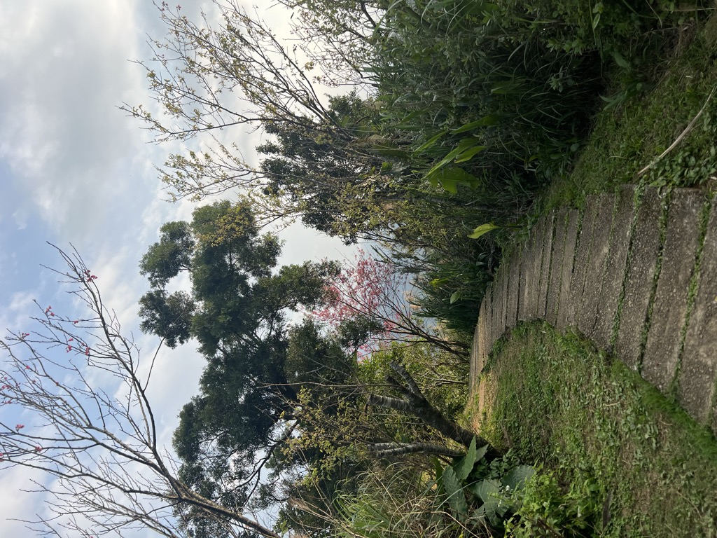 Photo №4 of Wenbishan